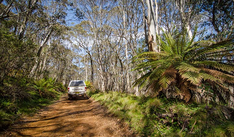 Barrington Trail NSW